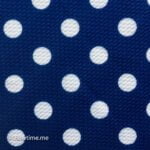 Blue Polka